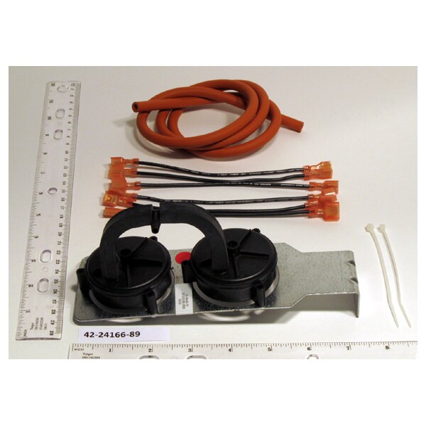 Rheem 42-24166-89 Pressure Switch 42-24166-8 - main